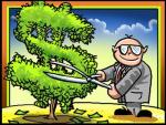 money tree (1).jpg
